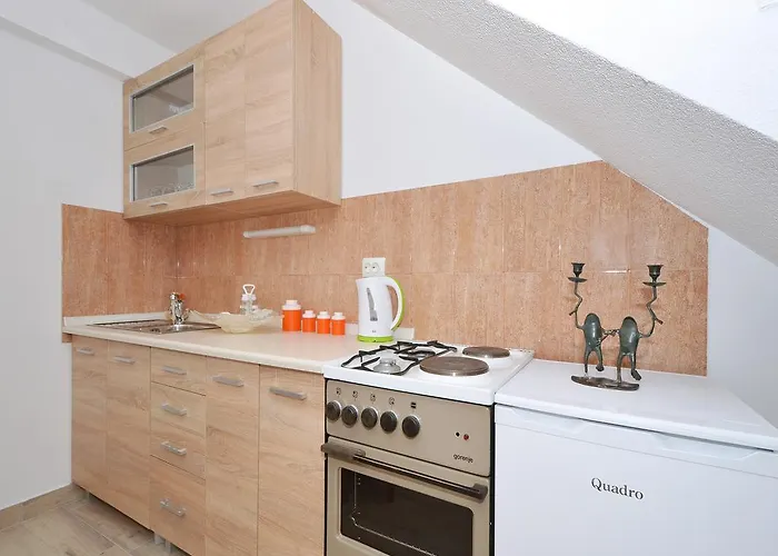 Apartment Petrovic *